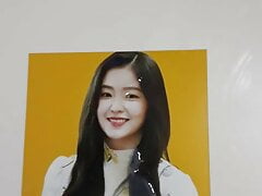 I cum on this stupid bitch  Irene of Red Velvet (3)