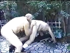 Daddy Bears on a Bench