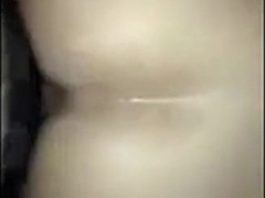 Bear giving hard to friend 5