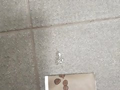 Futaba Sakura 2 loads