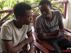 Nubian youngster tugs wood while getting barebacked