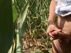 Summer, Sun, Corn & Wanking & Piss 4