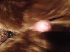 sheared beaver soft stroke