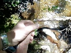 nature cum