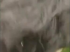 What He Does With His Fresh iPhone: Pillow-biter Amateur Web cam Fellatio