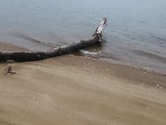 Short walk along the beach.