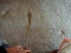 Pissing on my bedroom carpet