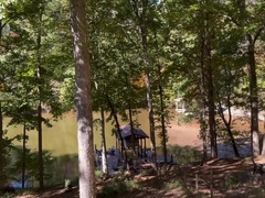 Back Porch Breeding and Bating