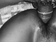 Massive Sri Lankan Cock 6