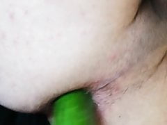 Cucumber gape anal