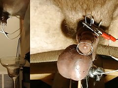 So much precum estim hfo