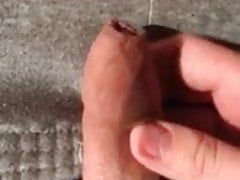 Pulling back the Foreskin