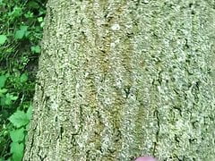 Alleine im Wald