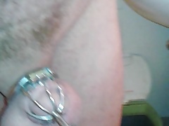 leashed in Chastity