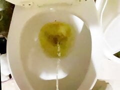 Piggy pissing