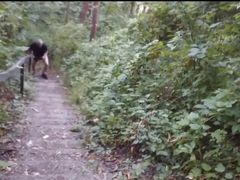 Naturist Stairs on Forest Mountain