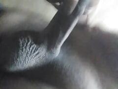 Desi Cocks