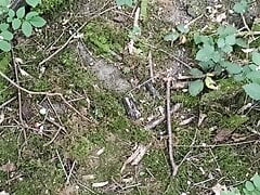 nice cumshot in the woods