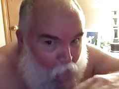 polar bear sucked cock