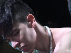 Brazilian Folks Horny Without a condom Poke