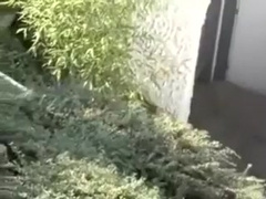 Interracial flip-flop in Budapest.