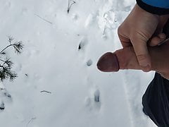 Forest Wank Snow Time