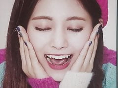 Twice Tzuyu Cum Tribute
